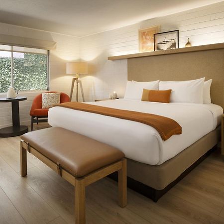 Dr Wilkinsons Backyard Resort And Mineral Springs A Member Of Design Hotels คาลิสโทกา ภายนอก รูปภาพ